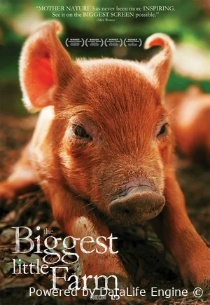 Самая большая маленькая ферма