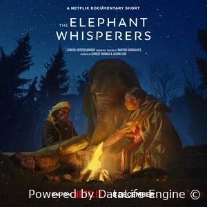 Заклинатели слонов